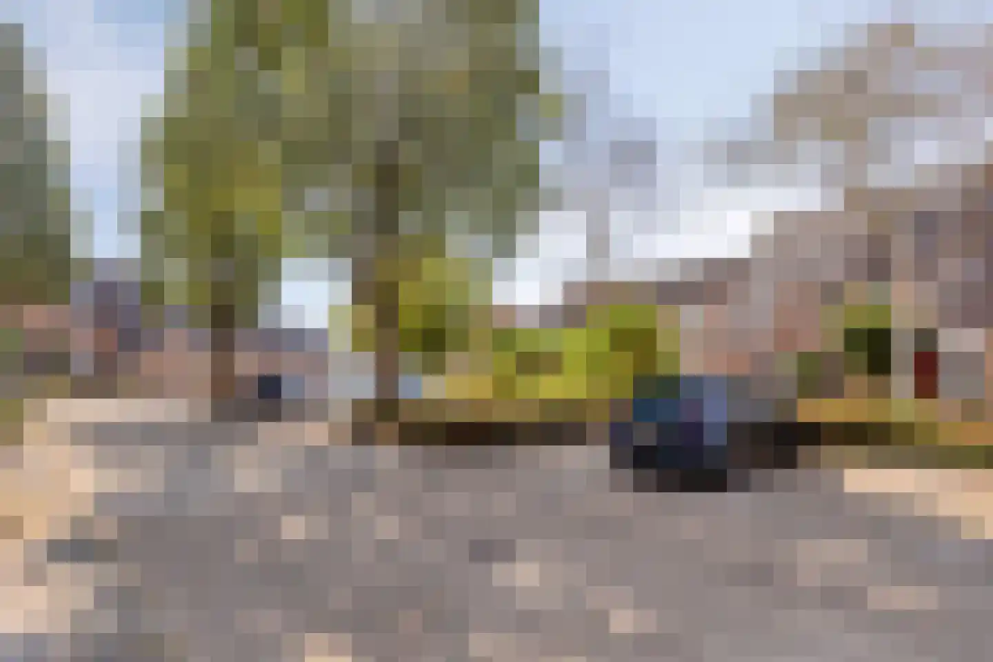 Heliotroopdijk 71 Roosendaal thumbnail 41