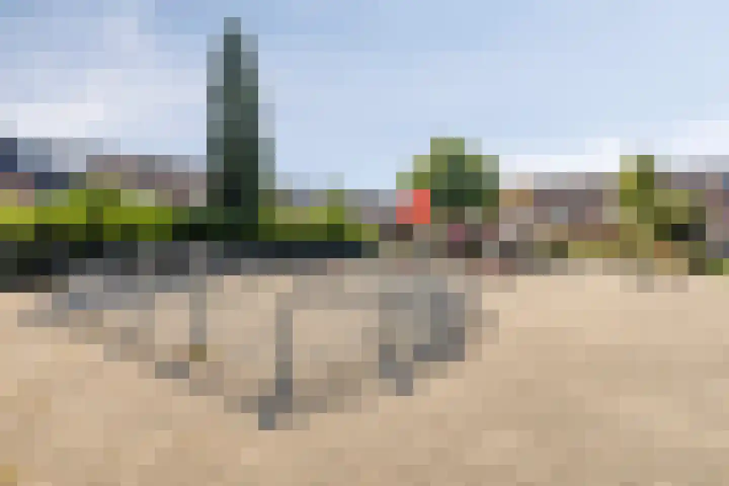 Heliotroopdijk 71 Roosendaal thumbnail 42