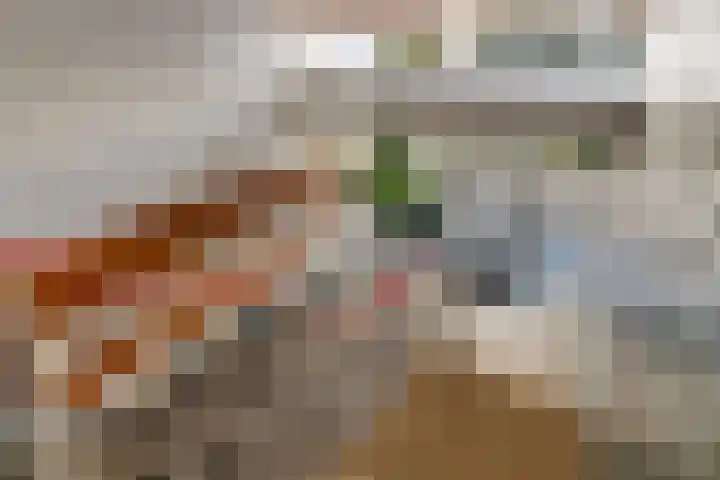 Heliotrooplaan 254 Den Haag thumbnail 11