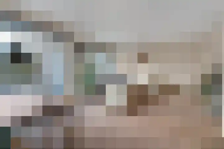 Heliotrooplaan 254 Den Haag thumbnail 15