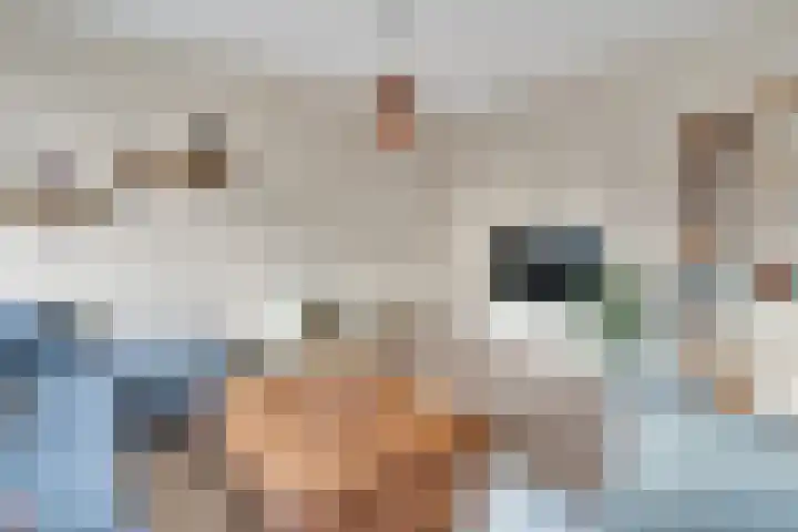 Heliotrooplaan 254 Den Haag thumbnail 17