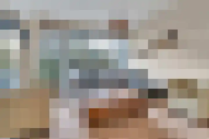 Heliotrooplaan 254 Den Haag thumbnail 18