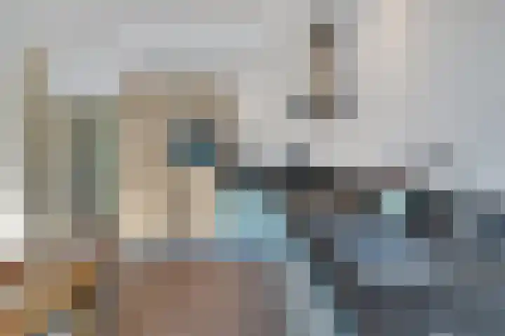 Heliotrooplaan 254 Den Haag thumbnail 22