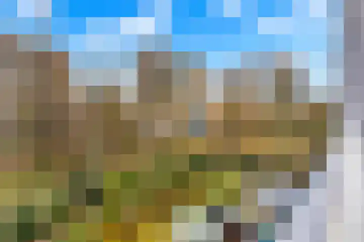 Heliotrooplaan 254 Den Haag thumbnail 26