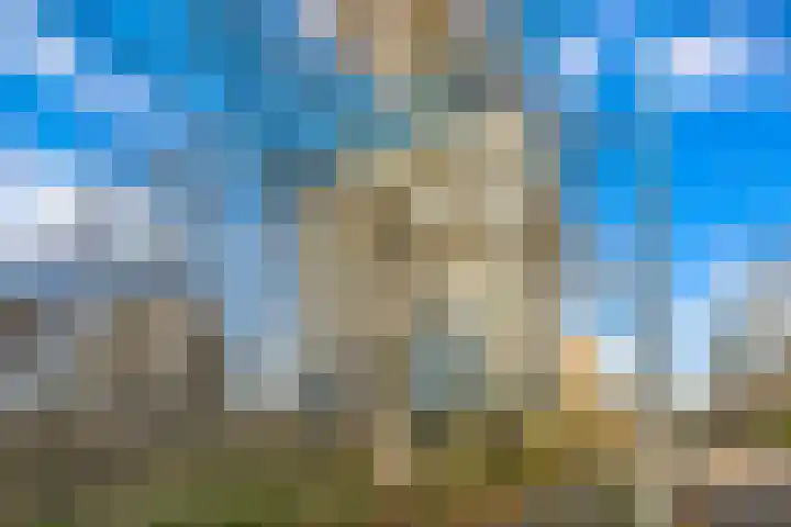 Heliotrooplaan 254 Den Haag thumbnail 36