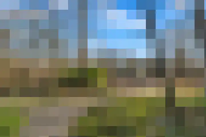Heliotrooplaan 254 Den Haag thumbnail 37