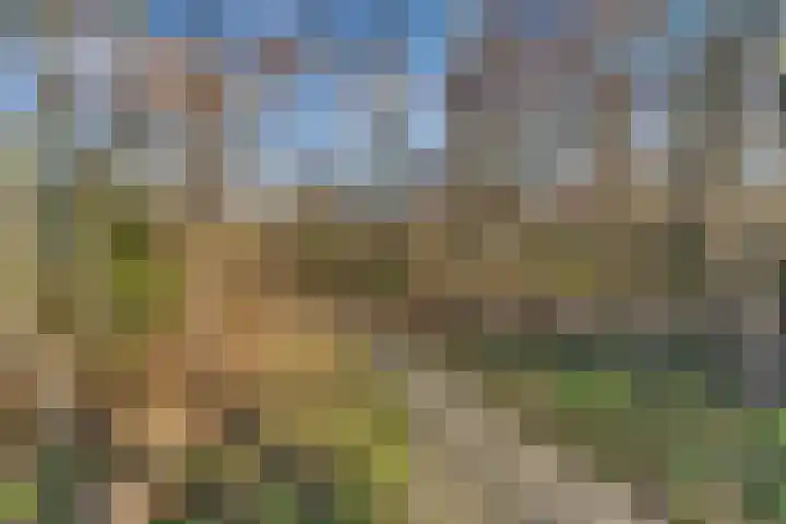 Heliotrooplaan 254 Den Haag thumbnail 38