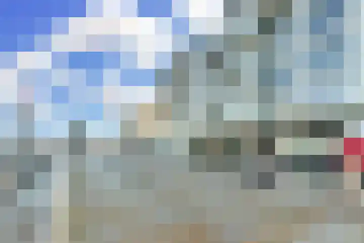 Heliotrooplaan 254 Den Haag thumbnail 40