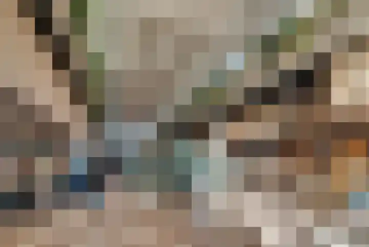 Heliotrooplaan 254 Den Haag thumbnail 41