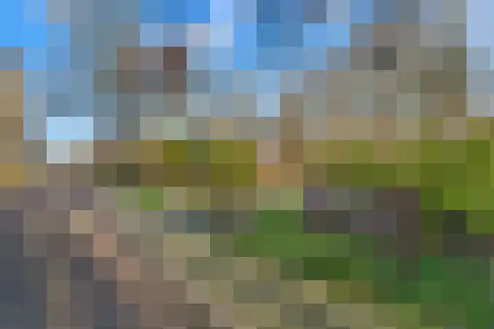 Heliotrooplaan 254 Den Haag thumbnail 7