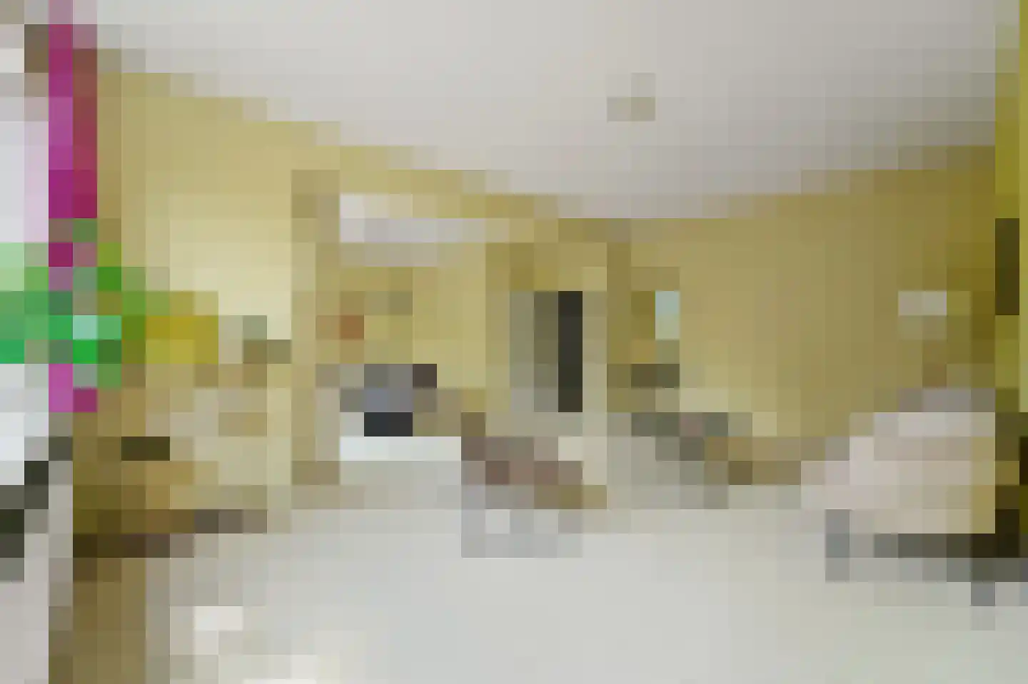 Heliotrooplaan 260 Den Haag thumbnail 12