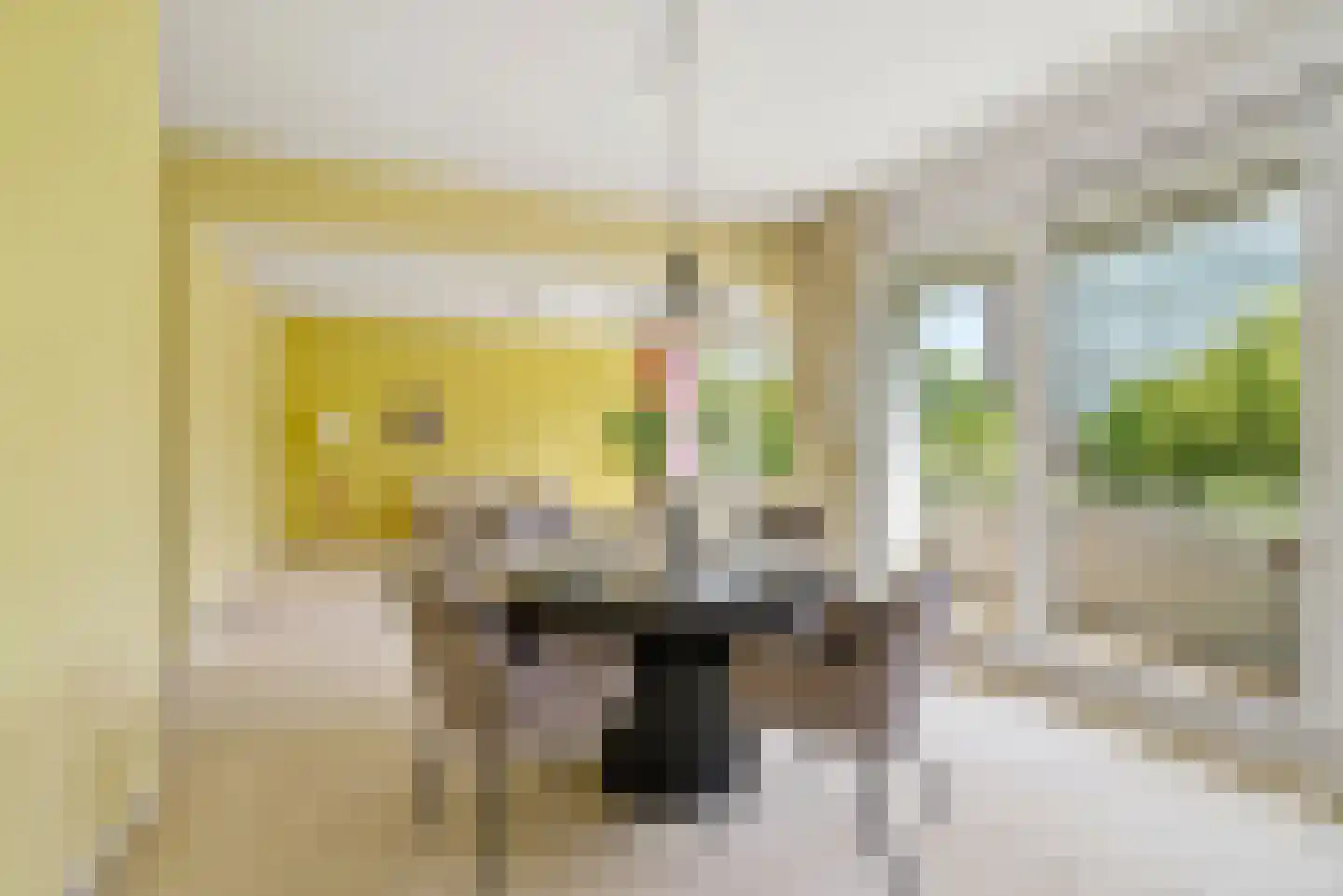 Heliotrooplaan 260 Den Haag thumbnail 15