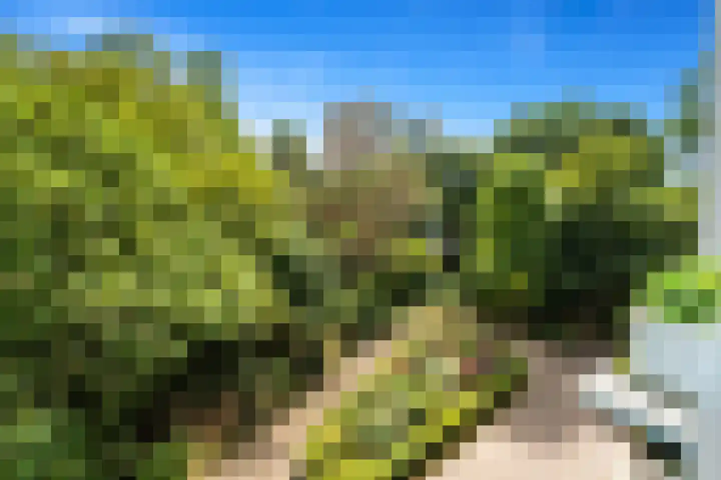 Heliotrooplaan 260 Den Haag thumbnail 19