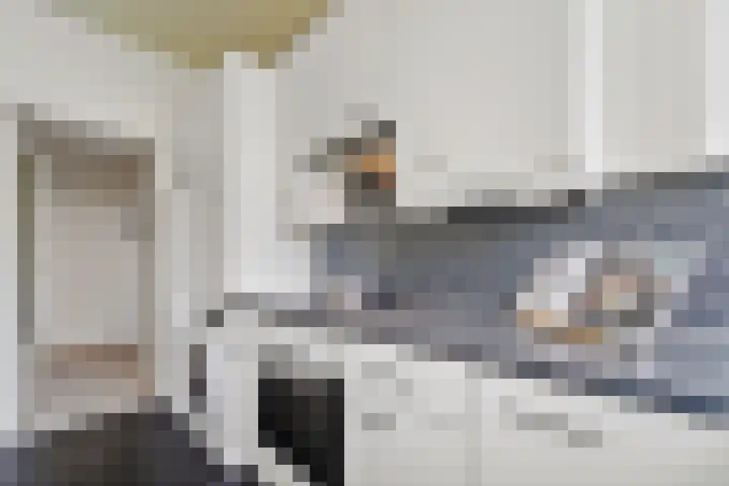 Heliotrooplaan 260 Den Haag thumbnail 21