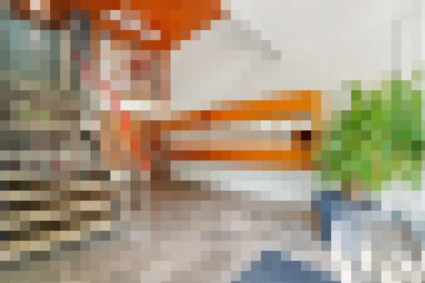 Heliotrooplaan 260 Den Haag thumbnail 9