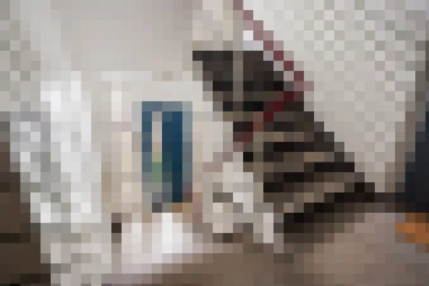Heliotrooplaan 314 Den Haag thumbnail 11