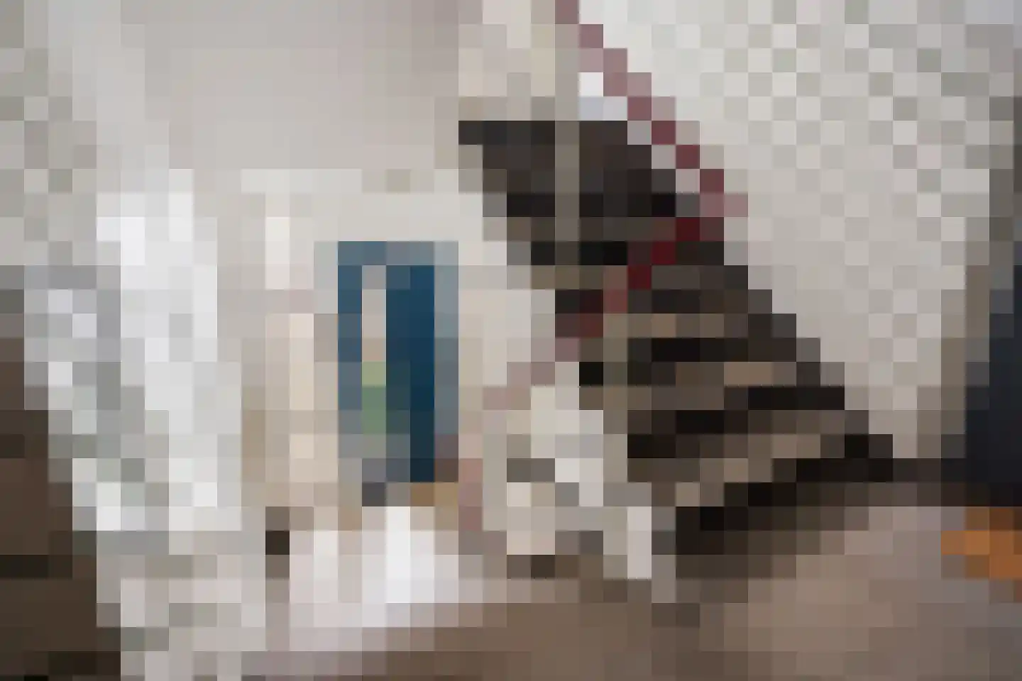 Heliotrooplaan 314 Den Haag thumbnail 13