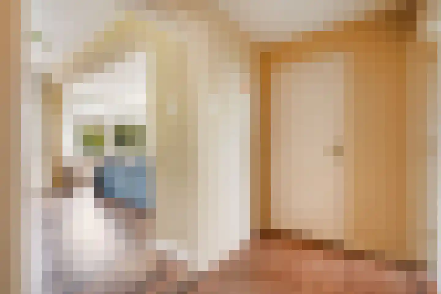 Heliotrooplaan 314 Den Haag thumbnail 17