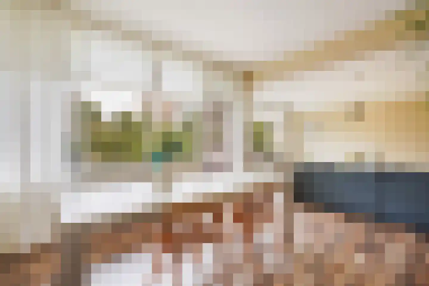 Heliotrooplaan 314 Den Haag thumbnail 18