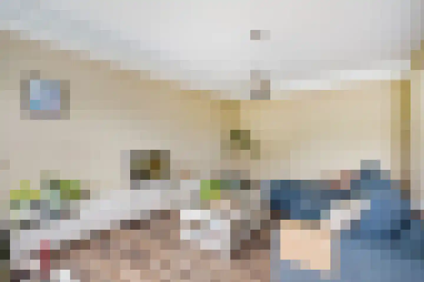 Heliotrooplaan 314 Den Haag thumbnail 20