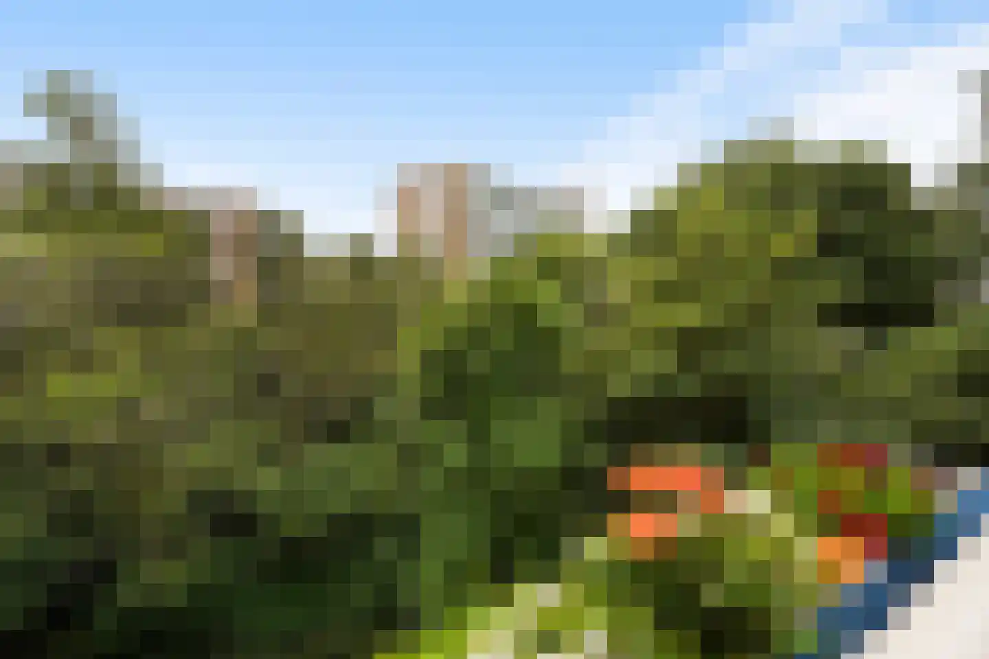 Heliotrooplaan 314 Den Haag thumbnail 23