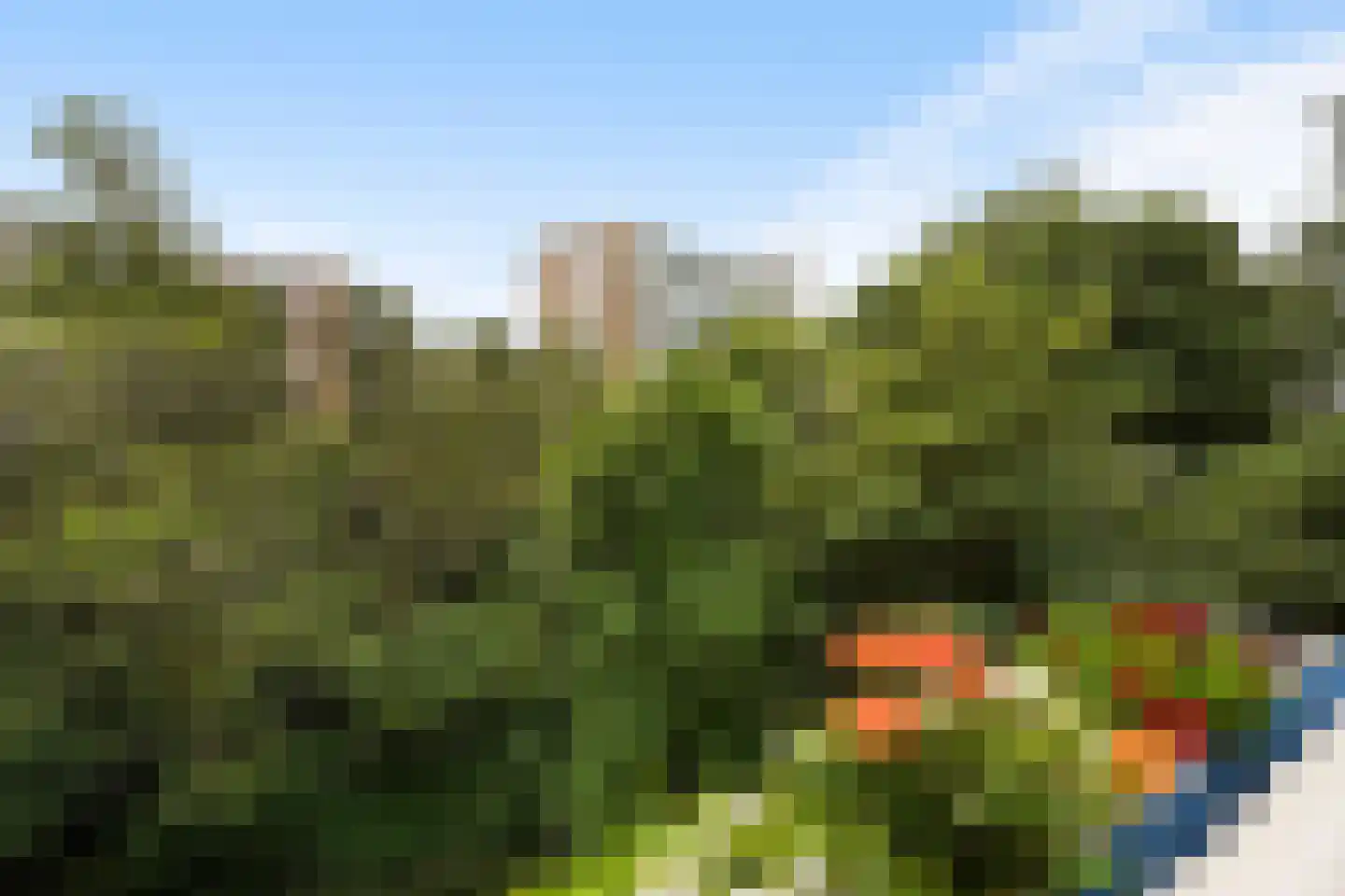 Heliotrooplaan 314 Den Haag thumbnail 25