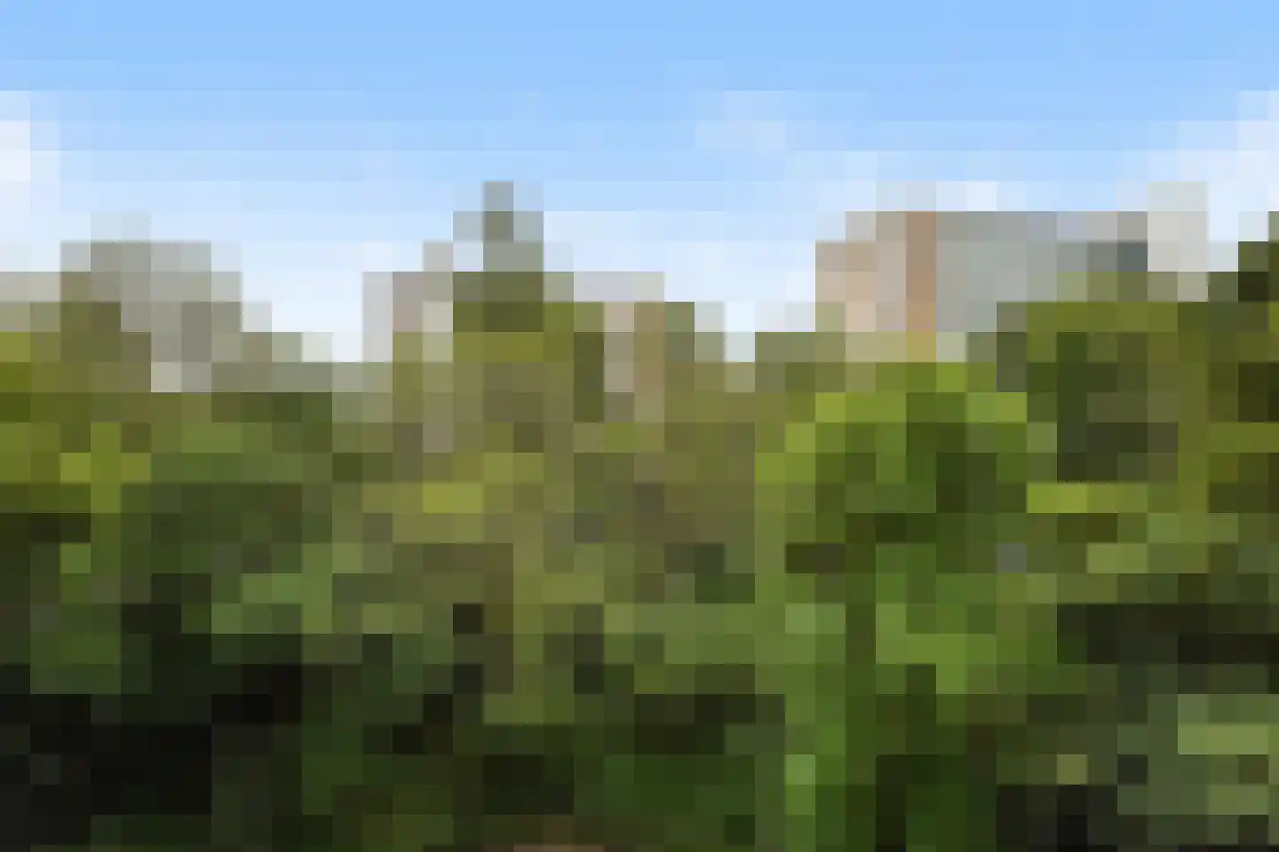 Heliotrooplaan 314 Den Haag thumbnail 26