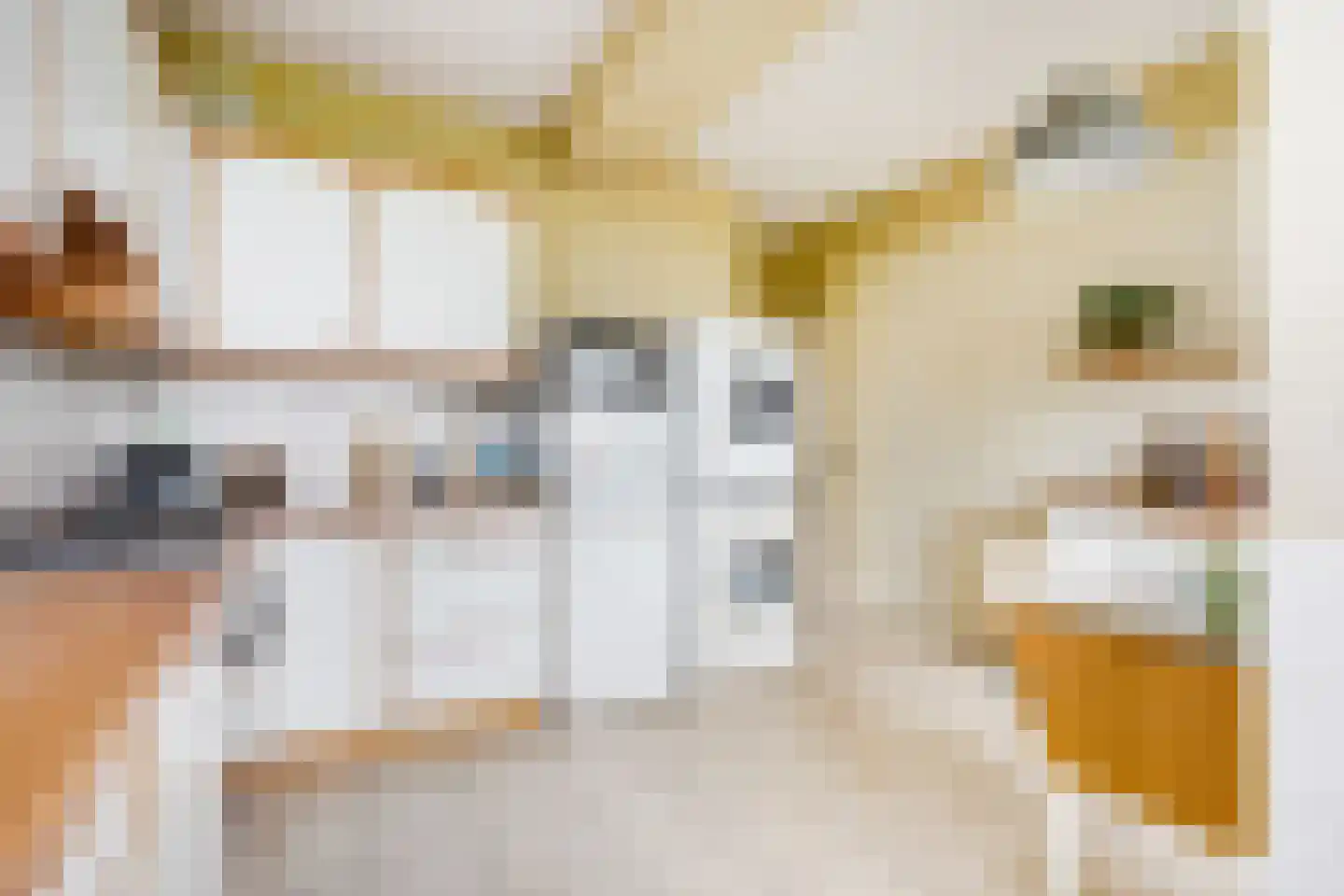 Heliotrooplaan 314 Den Haag thumbnail 32