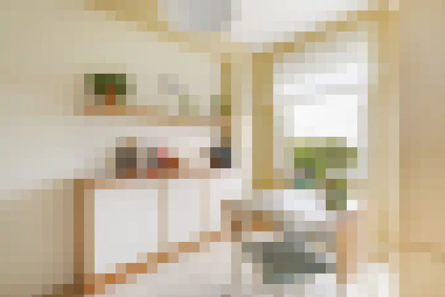 Heliotrooplaan 314 Den Haag thumbnail 33