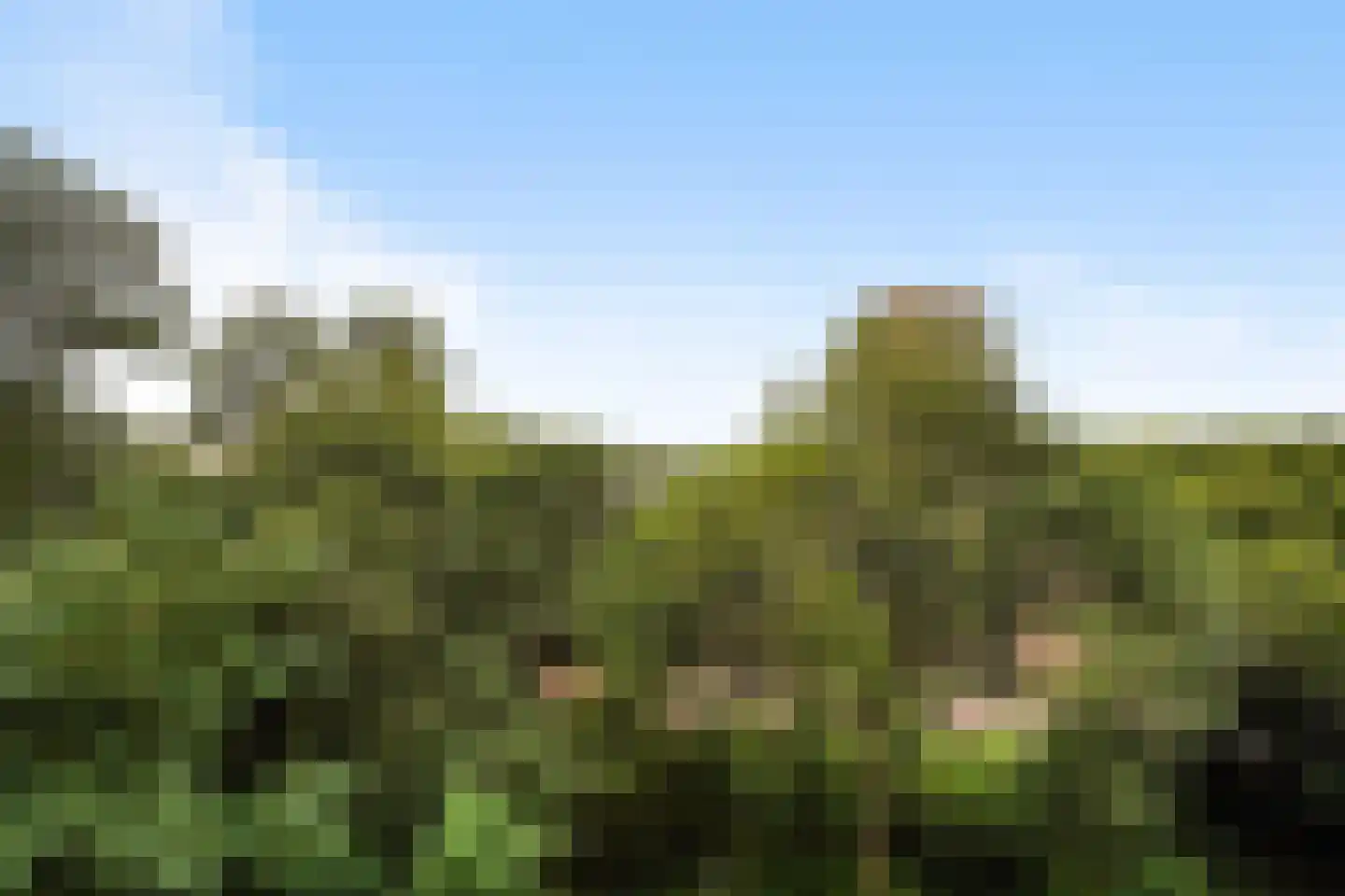 Heliotrooplaan 314 Den Haag thumbnail 34