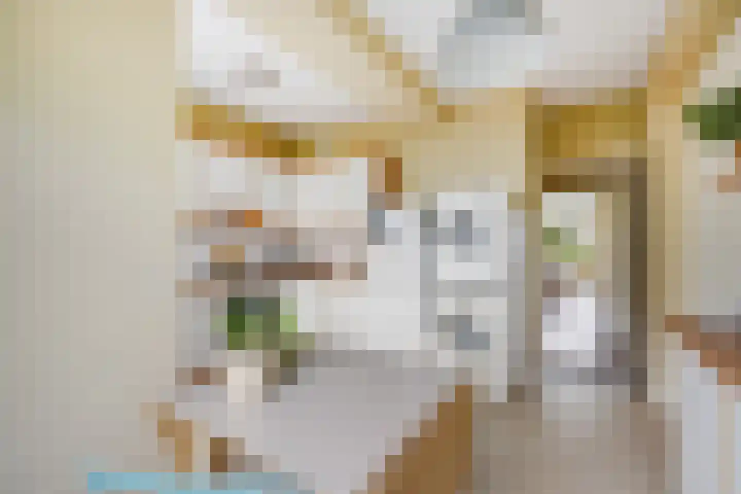 Heliotrooplaan 314 Den Haag thumbnail 35