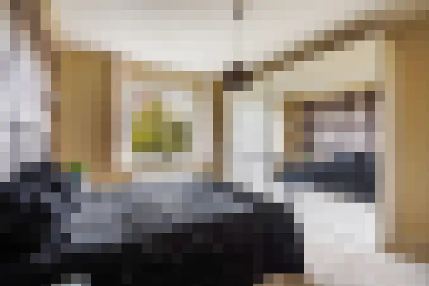 Heliotrooplaan 314 Den Haag thumbnail 36
