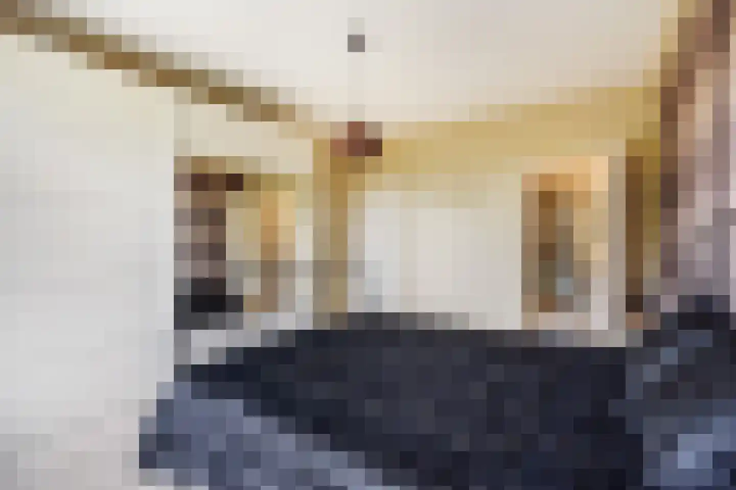 Heliotrooplaan 314 Den Haag thumbnail 37