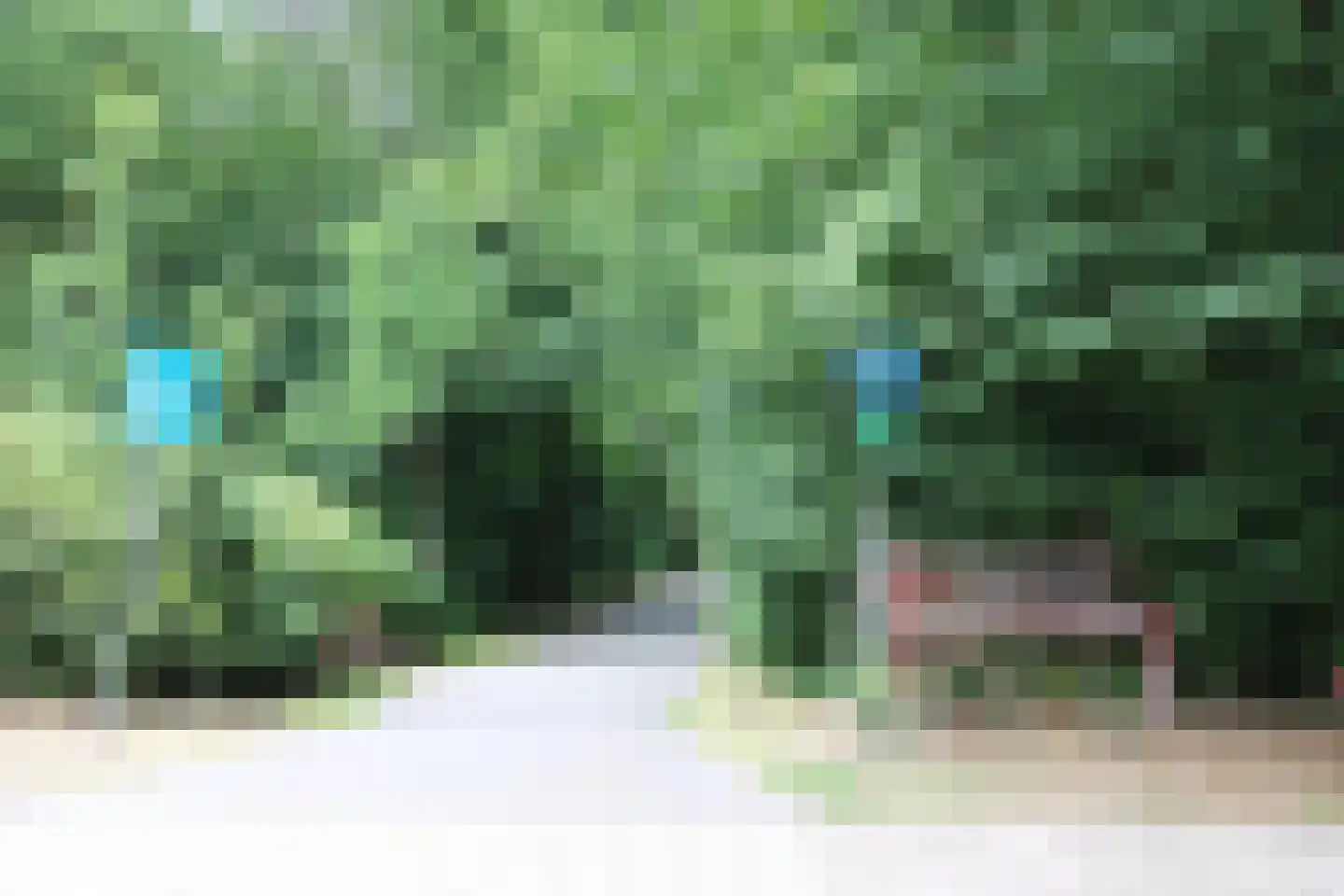 Heliotrooplaan 314 Den Haag thumbnail 39