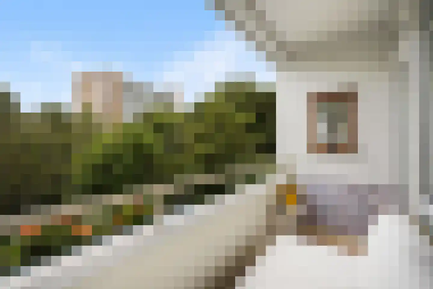 Heliotrooplaan 314 Den Haag thumbnail 4