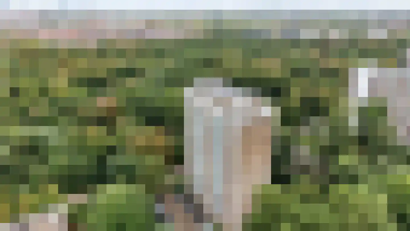 Heliotrooplaan 314 Den Haag thumbnail 40