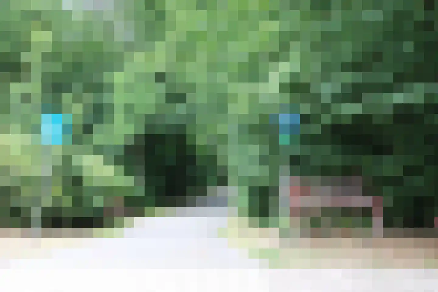 Heliotrooplaan 314 Den Haag thumbnail 43