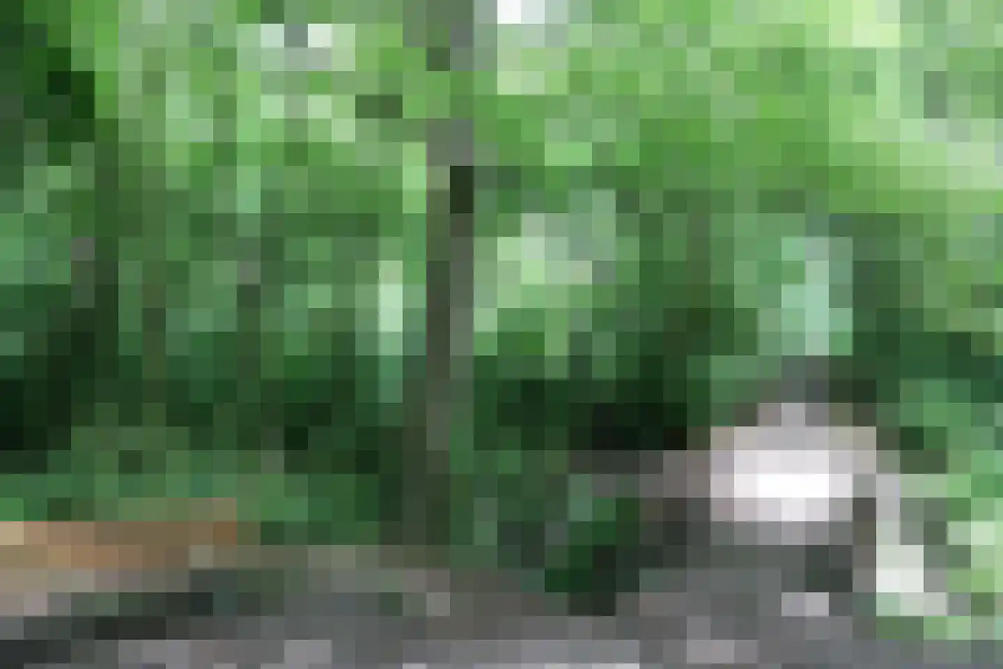 Heliotrooplaan 314 Den Haag thumbnail 44