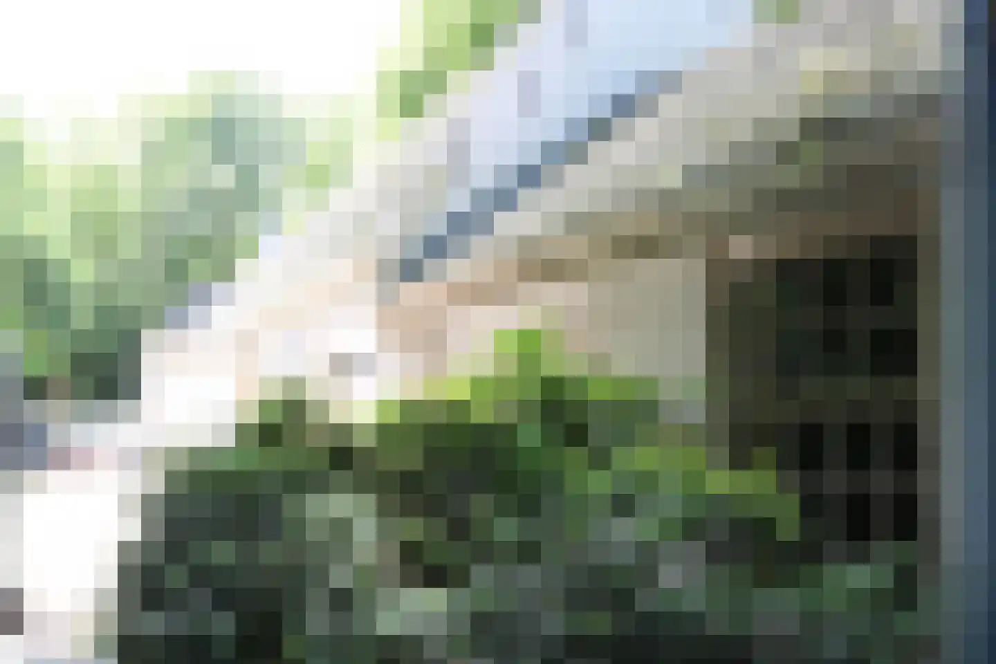 Heliotrooplaan 314 Den Haag thumbnail 46