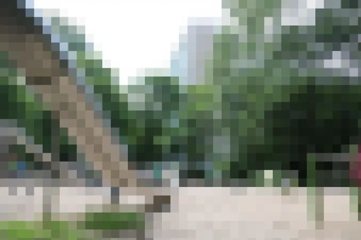 Heliotrooplaan 314 Den Haag thumbnail 47