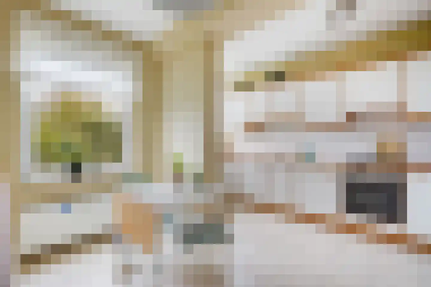 Heliotrooplaan 314 Den Haag thumbnail 6