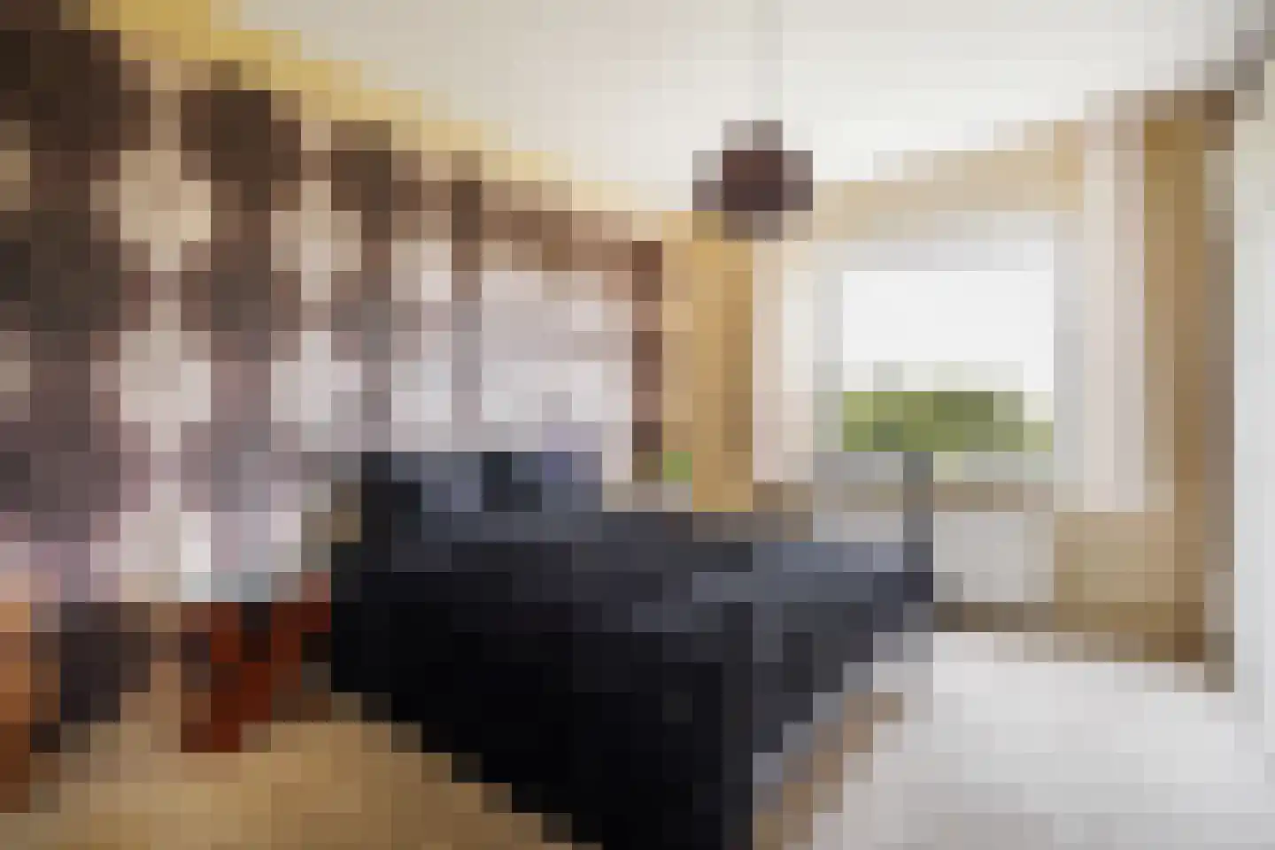 Heliotrooplaan 314 Den Haag thumbnail 7