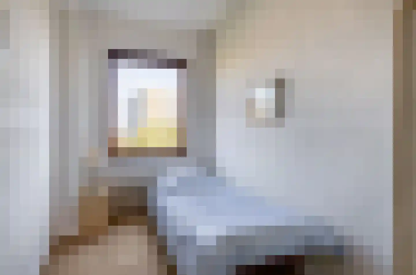 Heliotrooplaan 322 Den Haag thumbnail 19