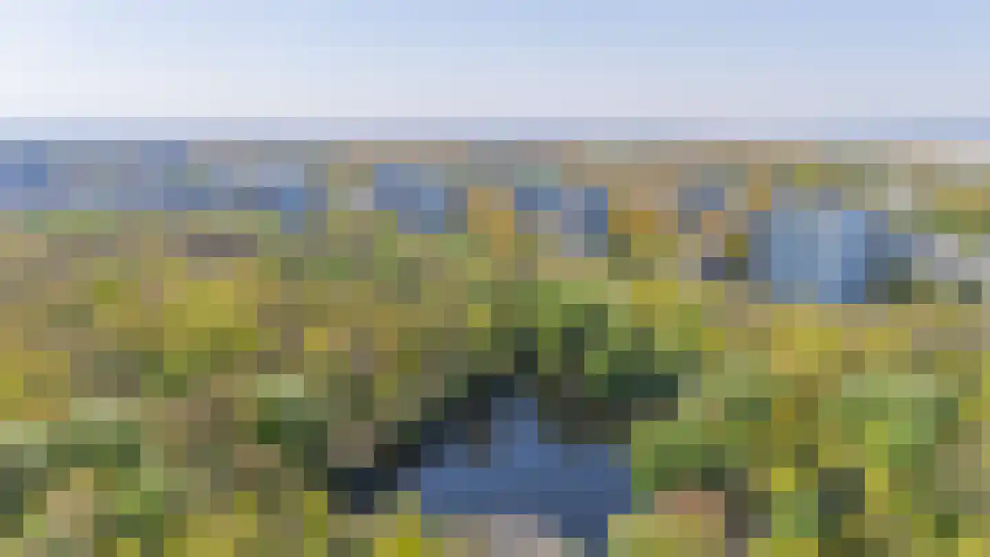 Heliotrooplaan 322 Den Haag thumbnail 29