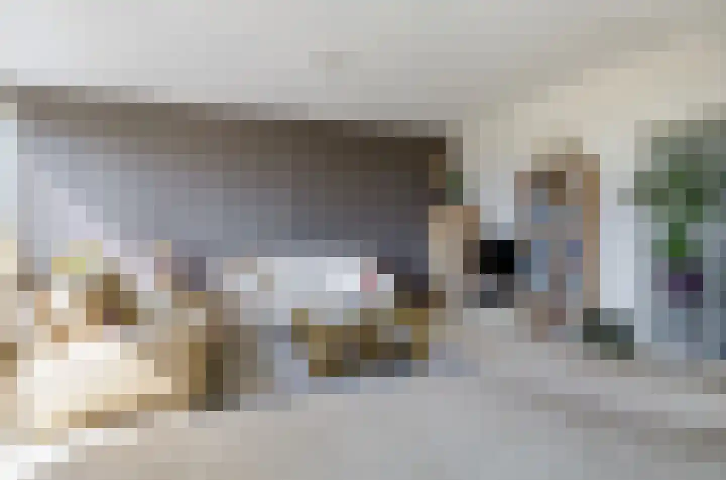 Heliotrooplaan 322 Den Haag thumbnail 4