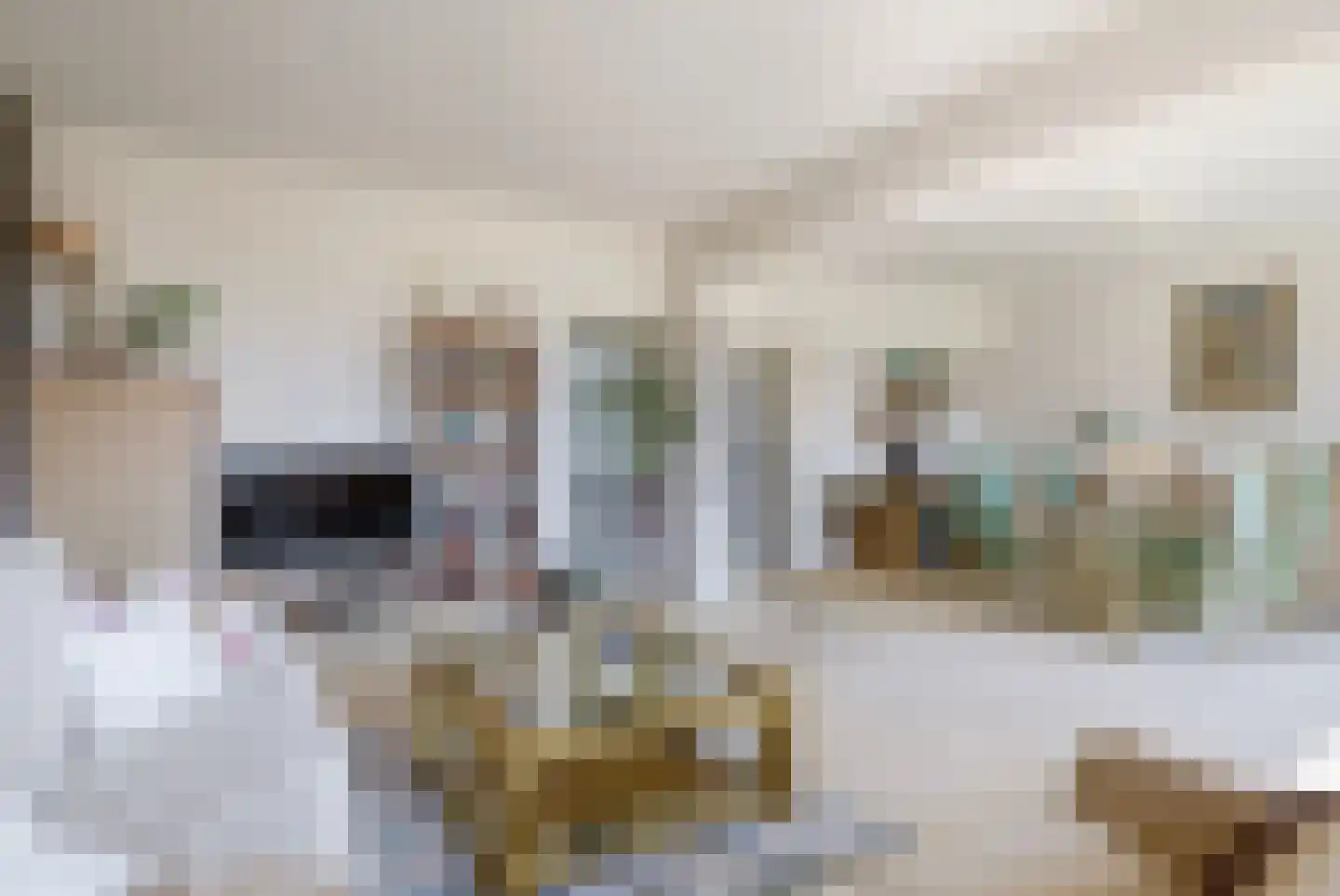 Heliotrooplaan 322 Den Haag thumbnail 9