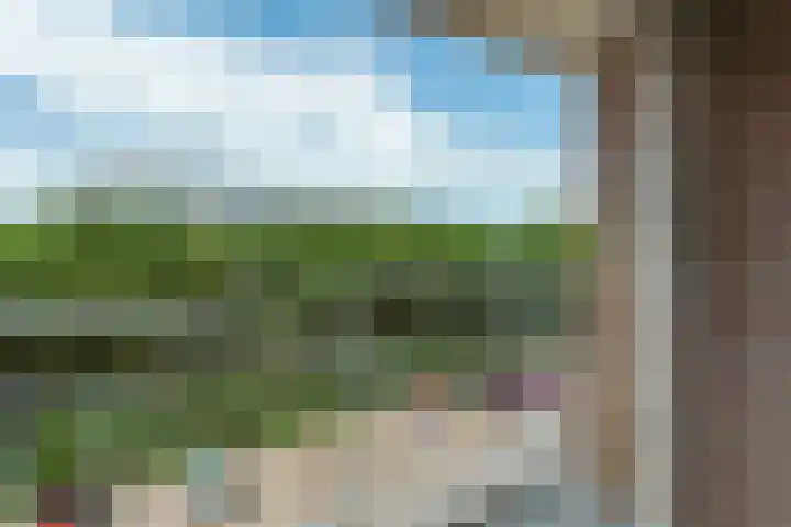 Heliotrooplaan 354 T Den Haag thumbnail 11