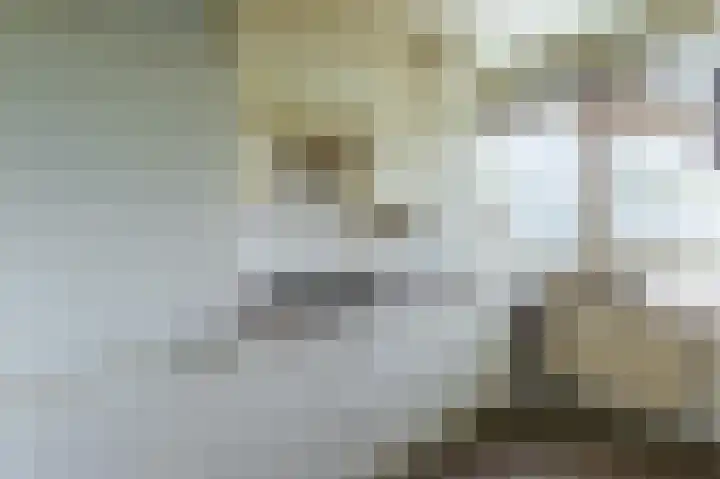 Heliotrooplaan 354 T Den Haag thumbnail 12
