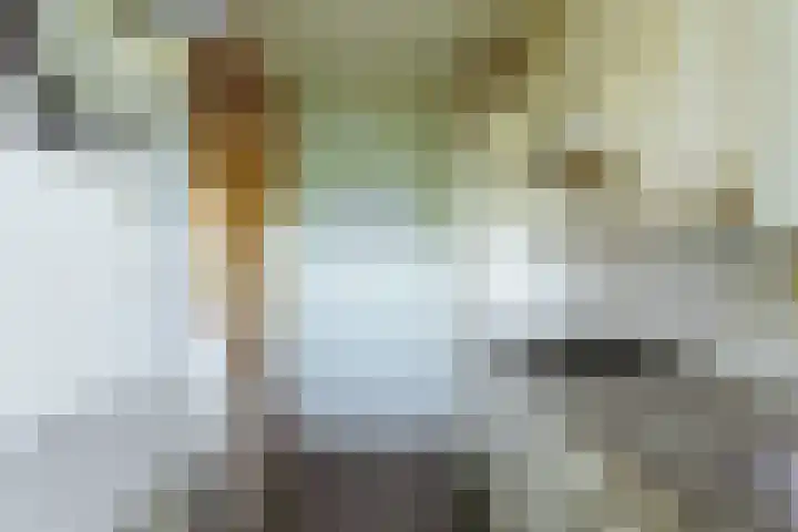 Heliotrooplaan 354 T Den Haag thumbnail 13