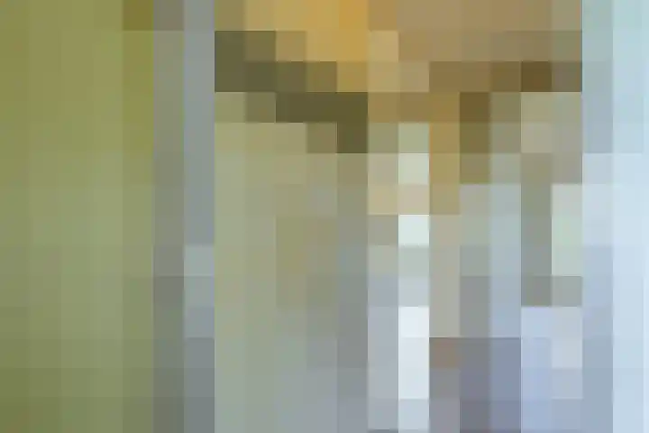 Heliotrooplaan 354 T Den Haag thumbnail 5